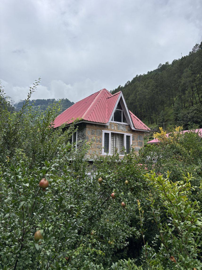 Holt-Loft above the pomegranate trees