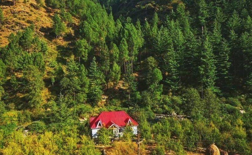Deodara Villa seen in the forested valley