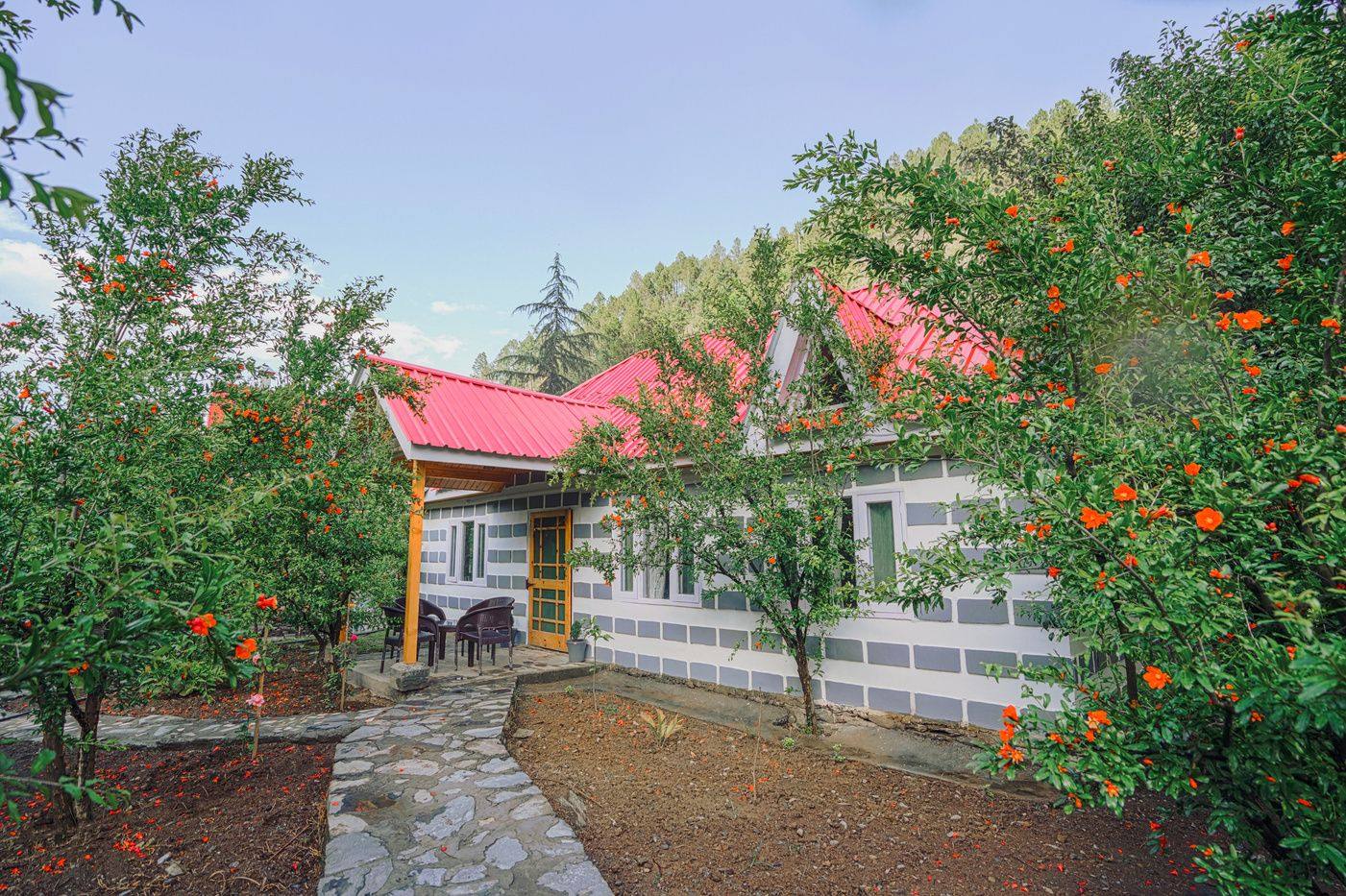 Deodara Villa entrance path lined with orange trees