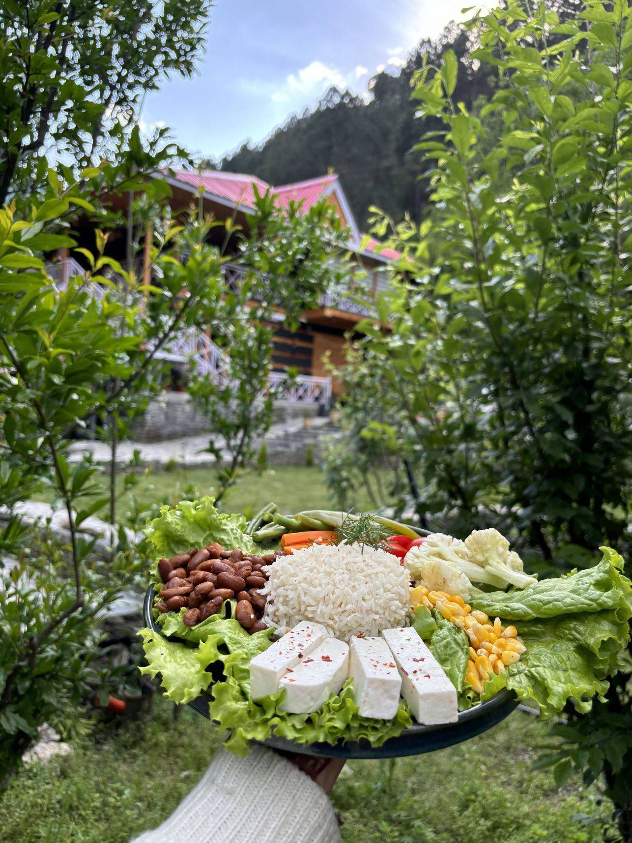 Farm-to-table dining at Anandgram Village