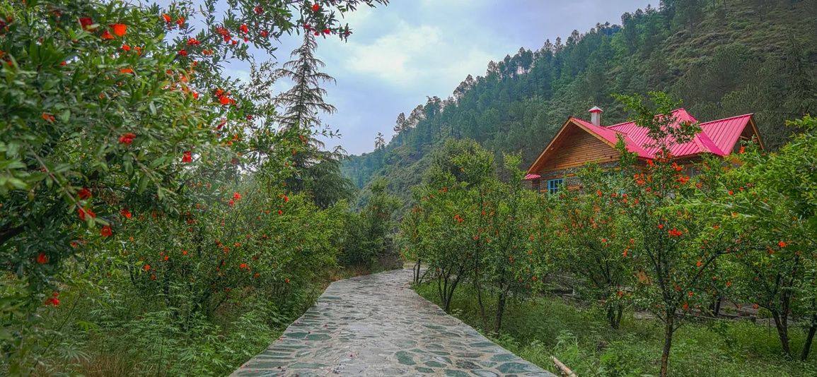 Nature and river around Anandgram Village