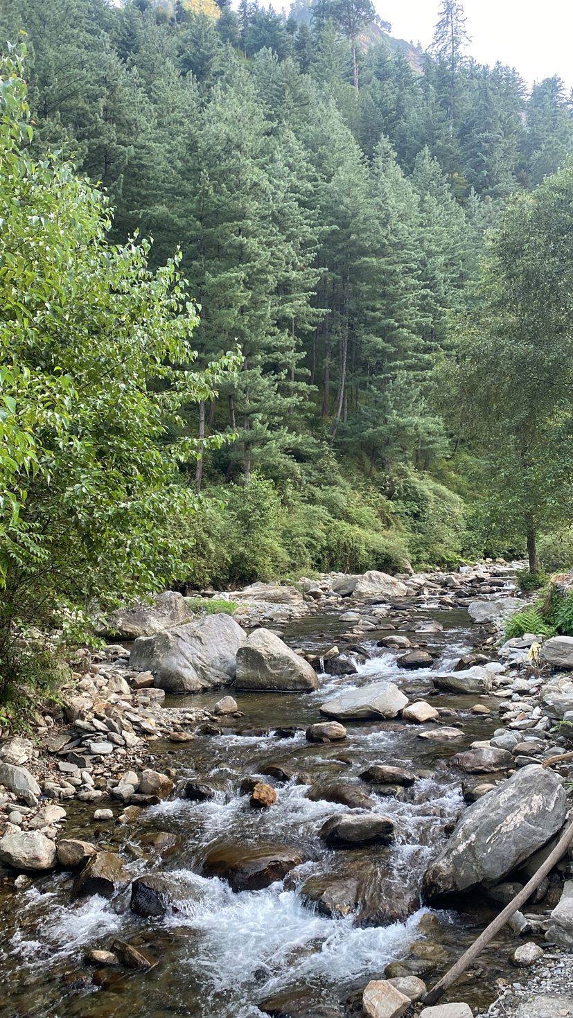 Nature and river around Anandgram Village